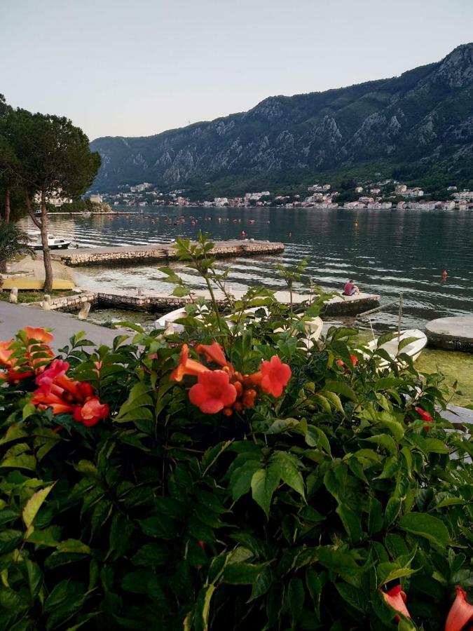 Apartments Radimir Kotor Exterior foto